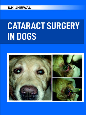 cover image of Cataract Surgery in Dogs